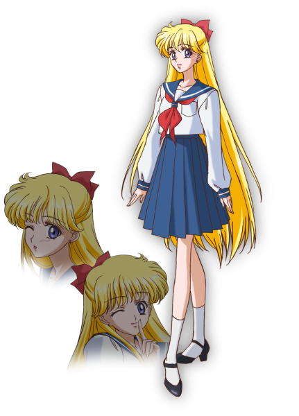 20 aniversario de Sailor Moon セーラームーン 20 周年