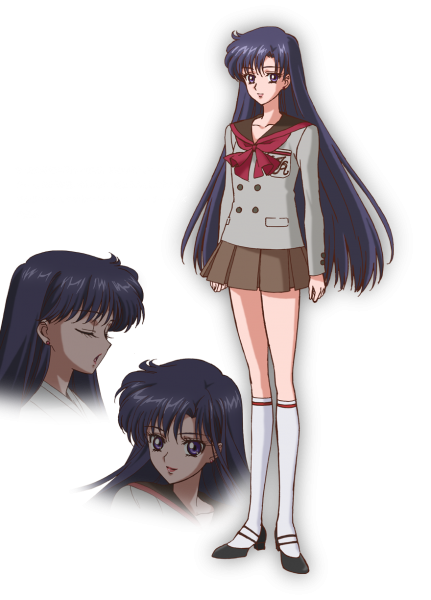 20 aniversario de Sailor Moon セーラームーン 20 周年