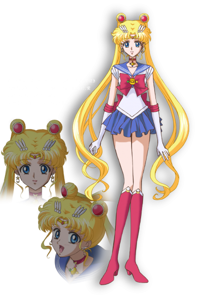 20 aniversario de Sailor Moon セーラームーン 20 周年