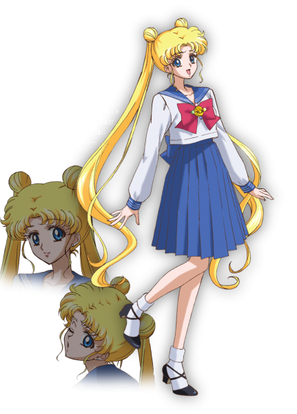 20 aniversario de Sailor Moon セーラームーン 20 周年