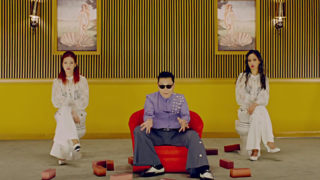 PSY 싸이 NAPAL BAJI 나팔바지